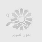 قالبهای خبری و محتوایی وردپرس